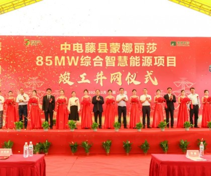 廣西最大工商業(yè)屋頂光伏項(xiàng)目在蒙娜麗莎正式并網(wǎng)啟用！