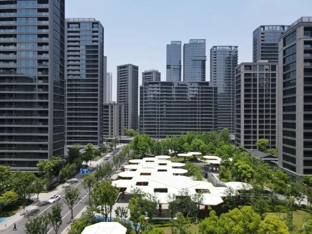 1695104710456022.jpg 5.jpg