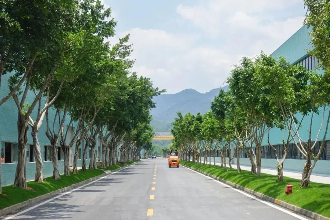 1705289832696300.jpg 8.jpg