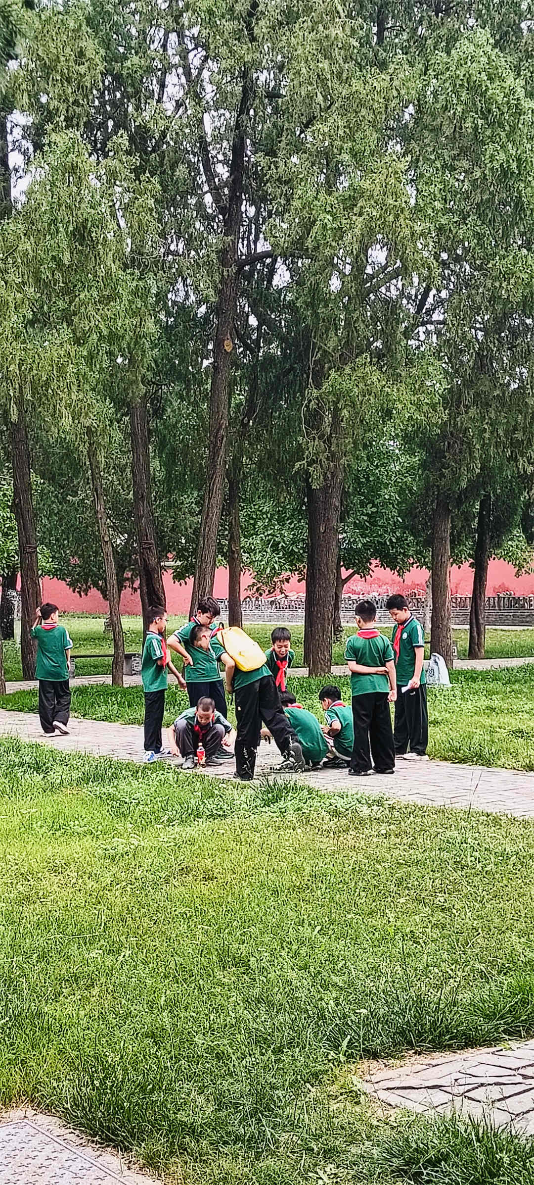 1748914414355286.jpg 石家莊市盛世長安小學(xué)12.jpg