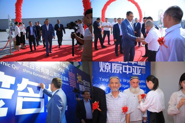 1756950960279281.png e670ce2694963d60522edc4da35d04bd.png